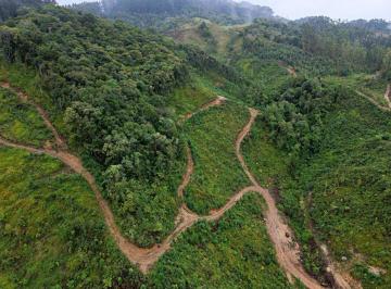 anat028-1 · Área de 20 hectares com escritura pública em Anitápolis/SC