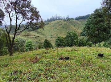 anat029a-1 · Sítio 4 hectares com pasto e escritura pública em Anitápolis- SC