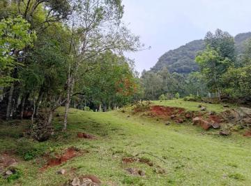 Imagem 1 · Sítio para venda em Canela