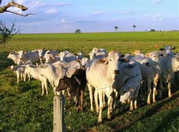 Imagem 1 · Fazenda para venda em Centro, Xambrê