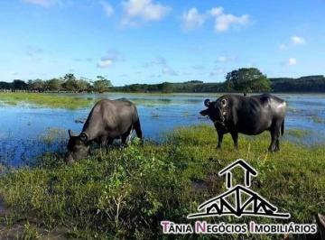 Imagem 1 · Fazenda para venda em Centro, Santana do Itararé