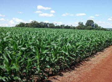 Imagem 1 · Fazenda para venda em Centro, Turvo