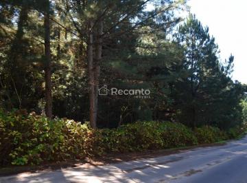 Terreno · 82000m² · Terreno em Mato Queimado, Gramado/RS de 82000m² à venda por R$ 8.000.000,00