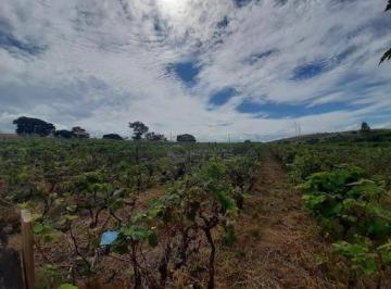 Terreno · 34885m² · Área em Bom Jardim, Jundiaí/SP de 0m² à venda por R$ 8.749.000,00