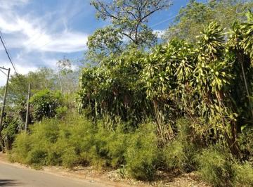 Terreno · 5000m² · Área em Santa Terezinha, Paulínia/SP de 0m² à venda por R$ 5.000.000,00