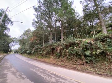Terreno · 601m² · Terreno em Vila Do Cedro, Canela/RS de 601m² à venda por R$ 300.000,00