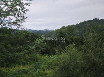 Rural · 88635m² · 1 Quarto · Sítio em Linha Furna, Gramado/RS de 88635m² 1 quartos à venda por R$ 3.000.000,00