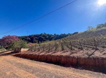 Terreno · 60988m² · Área em Abadia, Louveira/SP de 0m² à venda por R$ 3.335.000,00