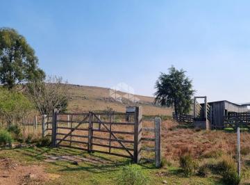 Rural · 549000m² · Fazenda de 54,9 ha na Várzea do Cedro em São Francisco de Paula
