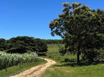 Terreno , Mairinque · Lotes de 1.000m² em Mairinque