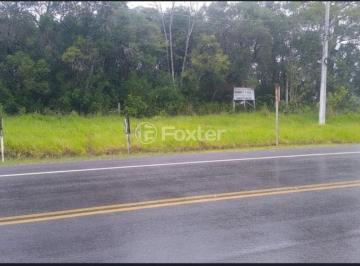 fce1df3d13f802cb6d325b58ef756e0b.jpg · Terreno, 7413 m², em Espigão