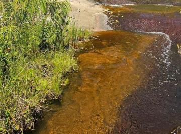 Terreno , Mairinque · Terrenos á venda em Mairinque 1.000m² Topografia Plana