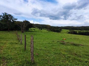 Rural de 3 quartos, Luziânia · EXCELENTE FAZENDA - BEIRA ASFALTO