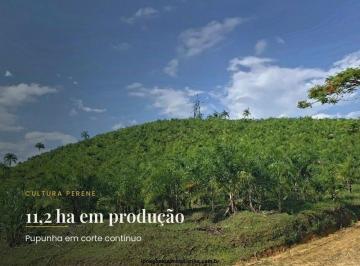 Rural · 484200m² · Rurais à venda - em Juquiá