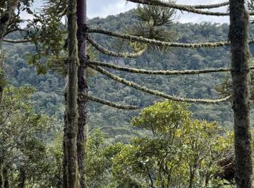 Rural · 1280000m² · Área à venda no bairro Rio Dos Bugres - Urubici/SC, Zona Rural