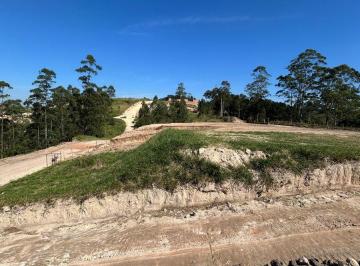 Terreno , São Roque · São João Novo: tranquilidade a 10 min dos comércios e perto da Rota do Vinho