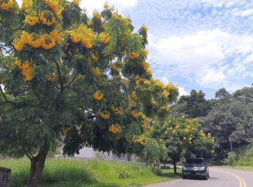 Terreno · 520m² · Terreno à venda - em Carapicuíba