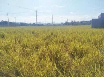 Terreno · 162m² · Oportunidade - Terreno - Loteamento Pitangueiras - Caçapava - 162.62m².
