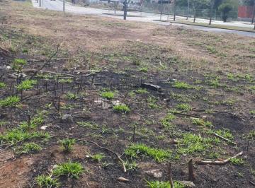 Terreno · 300m² · Oportunidade - Terreno - Residencial Dom Bosco - 300m².