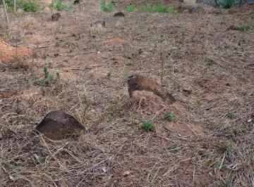 Terreno · 360m² · Lote à venda, Icaivera - Contagem/MG