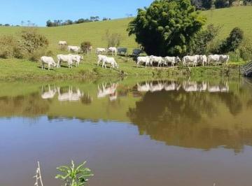 56f9882ad2ae259e3ef5c413583117aa6c189057 · Sítio Rural / Rio Abaixo