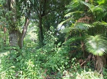 Terreno · 6100m² · Área em Vargem Grande, Rio de Janeiro/RJ de 0m² à venda por R$ 1.490.000,00
