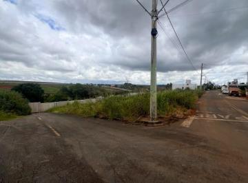 Imagem 1 · Terreno para venda em Centro, Piumhi