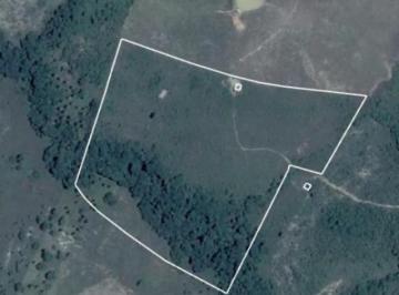 Foto do bem 636 · Terreno / Lote de 65.545 m² em Itaporanga d'Ajuda