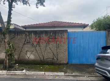 2ad93ef4f4d7d3f9ff518411e053c61c.jpg · Terreno