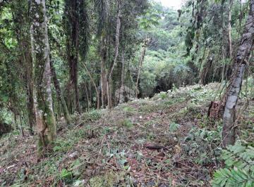 Terreno · 1010m² · Terreno com 1.010m² à venda por R$ 100.000,00 - Gleba II - Mairiporã/SP