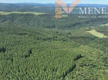 Foto 01 · FAZENDA À VENDA NO SUL DE SANTA CATARINA