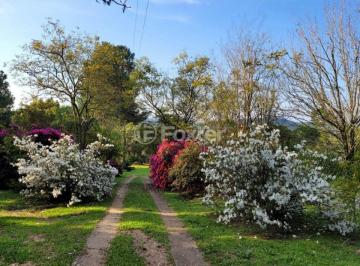 antonio_47.jpeg · Fazenda / Sítio / Chácara, 4 dormitórios, 2000 m², em Linha Flores