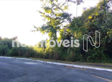7dfb6992-5-1-capa-foto-central-terreno-.jpg · Lote a venda no Residencial Santa Mônica