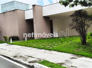 4d74605f-f48c-4c60-8d20-df64e153b3e6.webp · SANTA MÔNICA