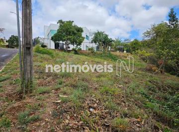 f7f7d286-721f-4721-a2b8-7ee3f81c9b42.webp · Ouro Vermelho II venda com exclusividade lote regularizado
