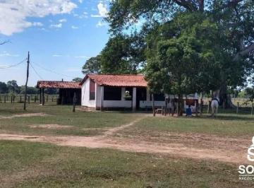 ad8npsj6kgo1789749916950.jpg · Fazenda a Venda no Pantanal de Poconé MT