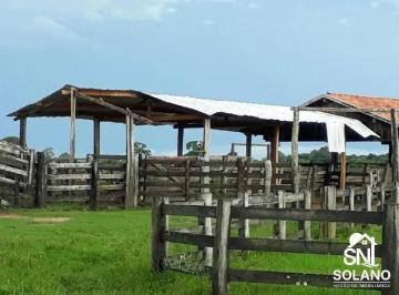 koqil5gz0boj1789749916937.jpg · Fazenda a Venda no Pantanal de Poconé MT