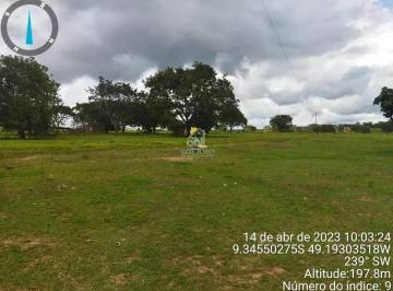 rz6jrevupd0q1789750125699.jpg · Fazenda à venda 3 Quartos, 10 Vagas, 3388M², Centro, Dois Irmãos do Tocantins - TO