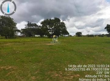 rz6jrevupd0q1789750125699.jpg · Fazenda à venda 3 Quartos, 10 Vagas, 3388M², Centro, Dois Irmãos do Tocantins - TO