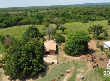 wgt8m0nfceol1789750188091.jpg · FAZENDA DUPLA APTIDÃO PLANTAÇÃO E PECUÁRIA PALMEIROPOLIS - GO
