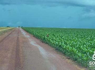 ecgj96svnyxc1789750104769.jpg · FAZENDA A VENDA EM NOBRES-MT