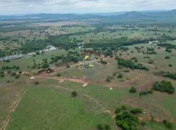 xhz9hbtxryii1789750033118.jpg · Vendo Fazenda 223 Alqueires em Peixe - TO