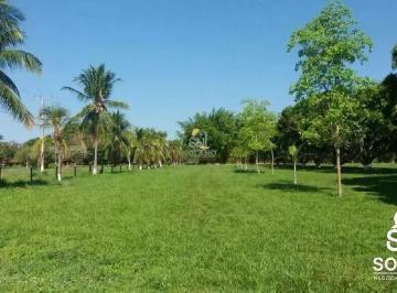 t8rnfyvccbe61789750205841.jpg · BELÍSSIMA FAZENDA EM SANTANA ARAGUAIA - PA