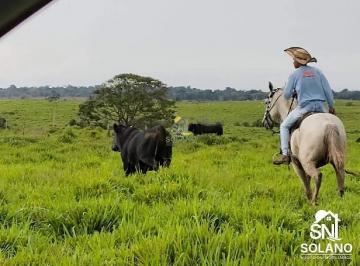 jatvlacsv4st1789750110217.jpg · BELÍSSIMA FAZENDA NO NORTE DO PARA