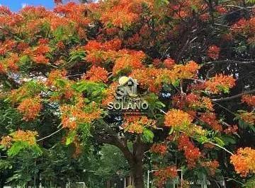 3f0gcwrlk1u1789750433721.jpg · Chácara à venda 4 Quartos, 3 Suites, 10 Vagas, 234M², Estâncias Aroeira, Trindade - GO