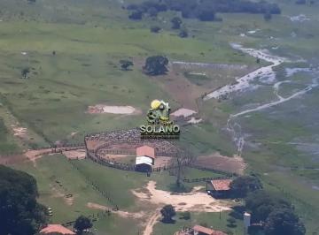 hojdkb8eiqto1789749610950.jpg · Fazenda a Venda no Pantanal de Poconé MT