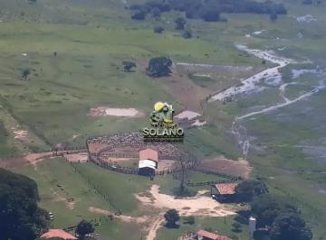 hojdkb8eiqto1789749610950.jpg · Fazenda a Venda no Pantanal de Poconé MT