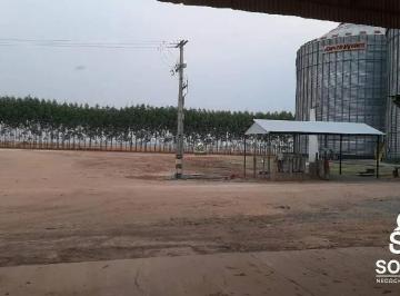 c6iwzszjgmxu1789750208844.jpg · Vende esta propriedade de porteira fechada em nova Ubiratan - MT