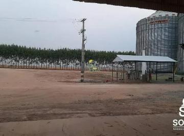 c6iwzszjgmxu1789750208844.jpg · Vende esta propriedade de porteira fechada em nova Ubiratan - MT
