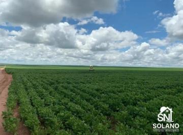 ihmtxvsiqpvz1789750206444.jpg · FAZENDA A VENDA A 70 KM DE PRIMAVERA DO LESTE MT.